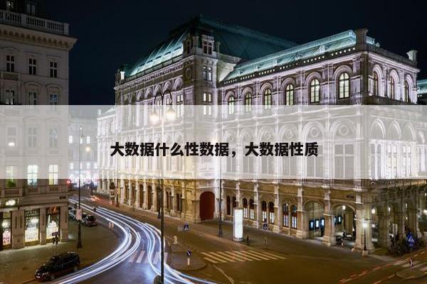 大数据什么性数据，大数据性质