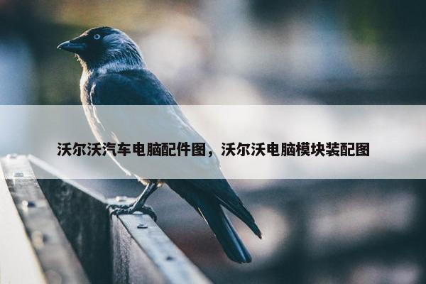 沃尔沃汽车电脑配件图，沃尔沃电脑模块装配图