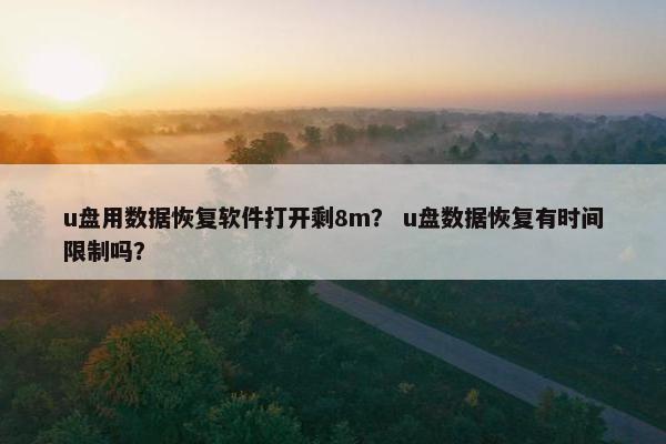 u盘用数据恢复软件打开剩8m？ u盘数据恢复有时间限制吗？