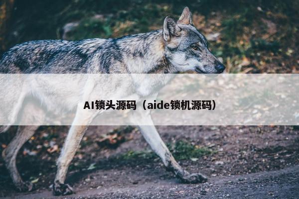 AI锁头源码（aide锁机源码）