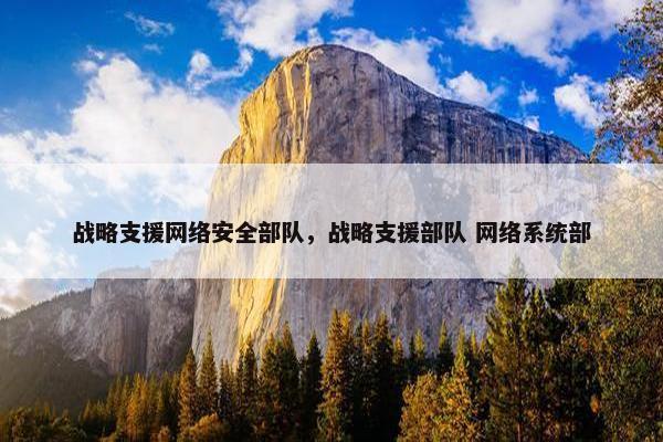 战略支援网络安全部队，战略支援部队 网络系统部