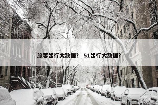 旅客出行大数据？ 51出行大数据？