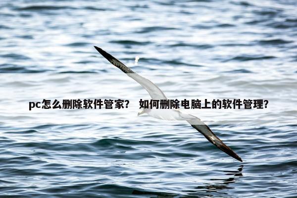 pc怎么删除软件管家？ 如何删除电脑上的软件管理？