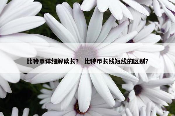 比特币详细解读长？ 比特币长线短线的区别？