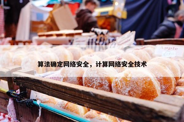 算法确定网络安全，计算网络安全技术