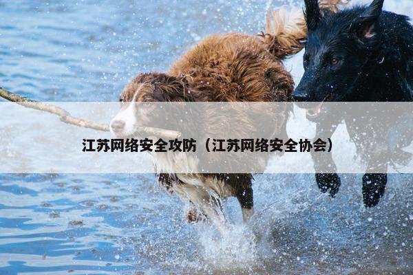 江苏网络安全攻防（江苏网络安全协会）