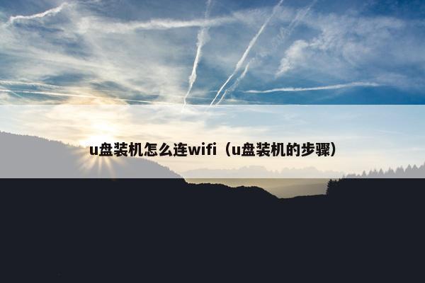 u盘装机怎么连wifi（u盘装机的步骤）