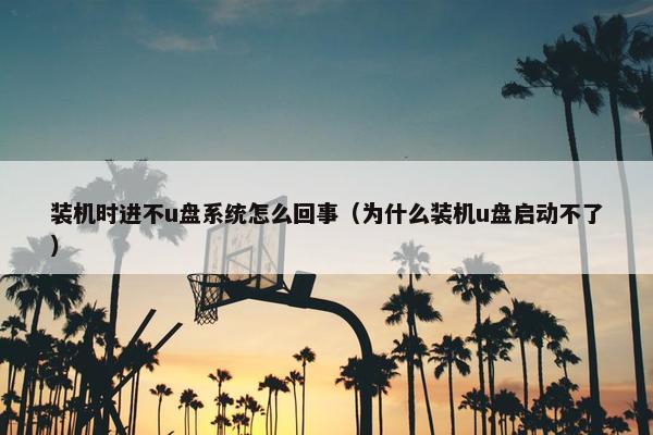 装机时进不u盘系统怎么回事（为什么装机u盘启动不了）