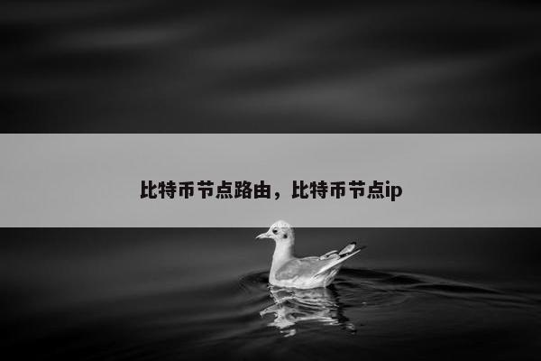 比特币节点路由，比特币节点ip