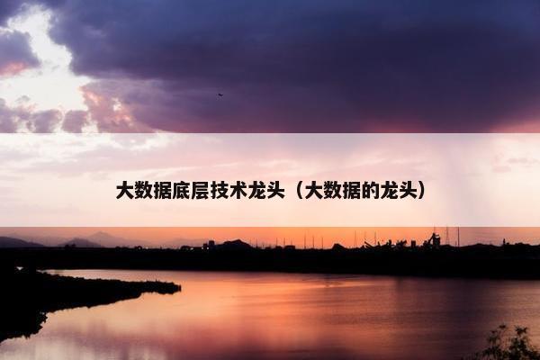 大数据底层技术龙头（大数据的龙头）