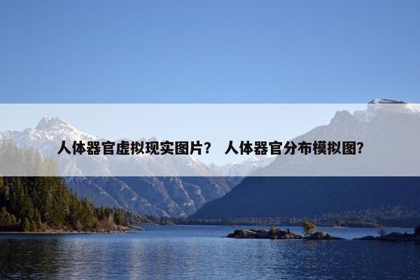 人体器官虚拟现实图片？ 人体器官分布模拟图？