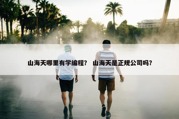山海天哪里有学编程？ 山海天是正规公司吗？