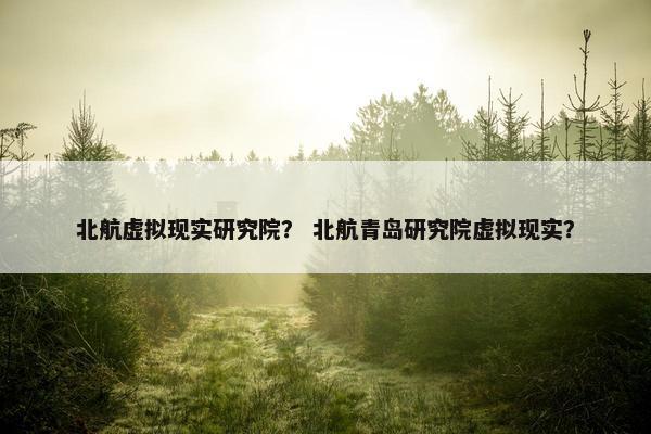 北航虚拟现实研究院？ 北航青岛研究院虚拟现实？