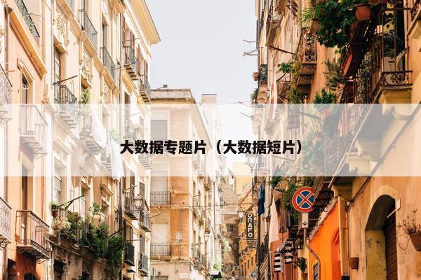 大数据专题片（大数据短片）
