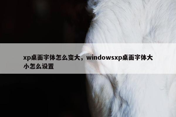 xp桌面字体怎么变大，windowsxp桌面字体大小怎么设置