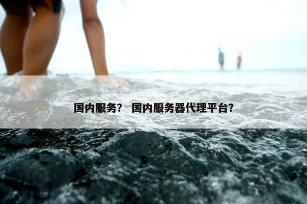 国内服务？ 国内服务器代理平台？