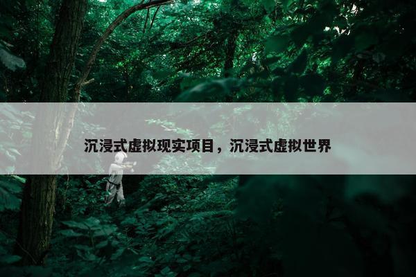 沉浸式虚拟现实项目，沉浸式虚拟世界