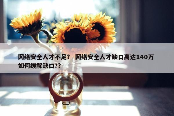 网络安全人才不足？ 网络安全人才缺口高达140万 如何缓解缺口?？