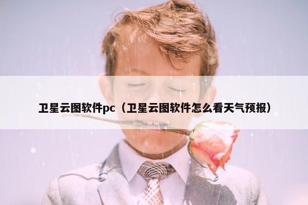 卫星云图软件pc（卫星云图软件怎么看天气预报）