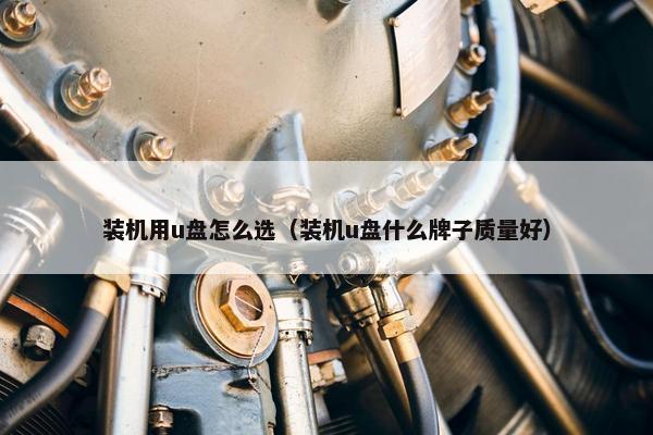 装机用u盘怎么选（装机u盘什么牌子质量好）