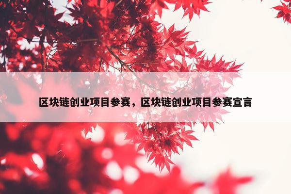 区块链创业项目参赛，区块链创业项目参赛宣言
