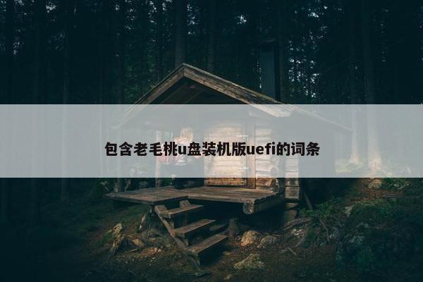 包含老毛桃u盘装机版uefi的词条
