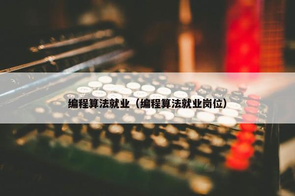 编程算法就业（编程算法就业岗位）