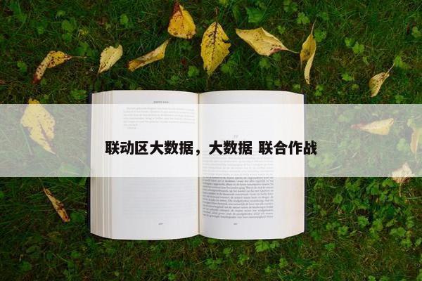 联动区大数据，大数据 联合作战
