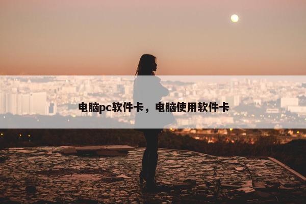 电脑pc软件卡，电脑使用软件卡