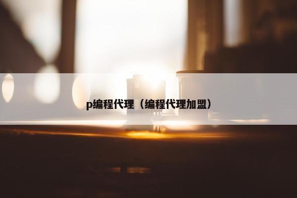 p编程代理（编程代理加盟）