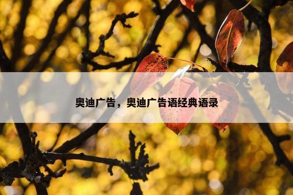 奥迪广告，奥迪广告语经典语录