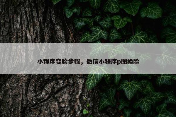 小程序变脸步骤，微信小程序p图换脸