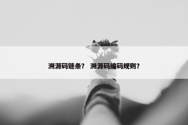 溯源码链条？ 溯源码编码规则？