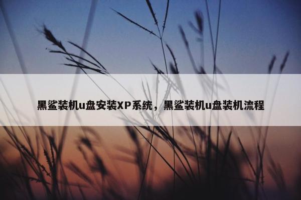 黑鲨装机u盘安装XP系统，黑鲨装机u盘装机流程