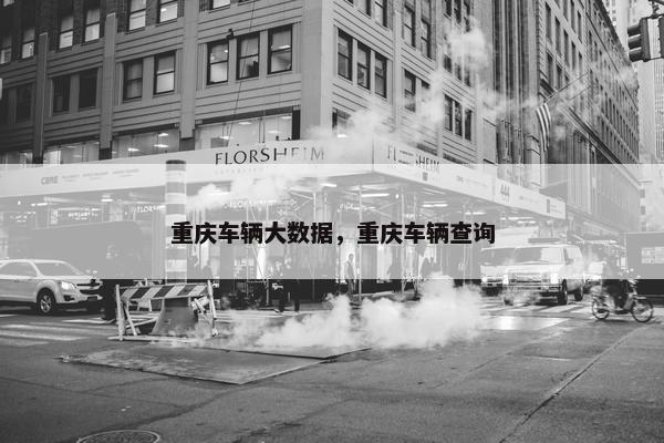 重庆车辆大数据，重庆车辆查询