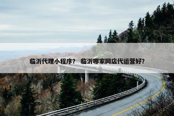 临沂代理小程序？ 临沂哪家网店代运营好？