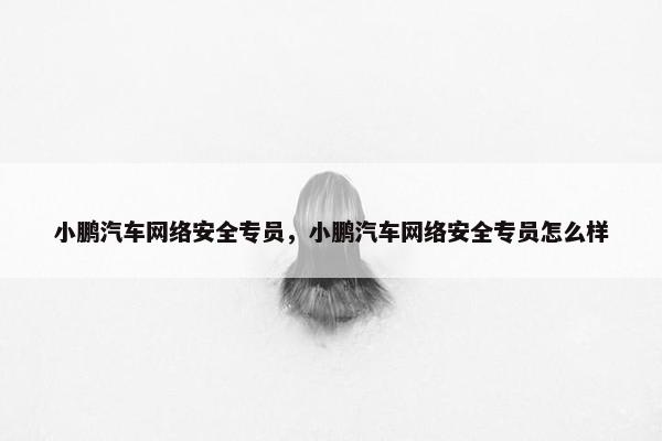 小鹏汽车网络安全专员，小鹏汽车网络安全专员怎么样