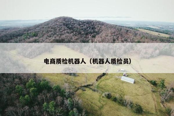 电商质检机器人（机器人质检员）