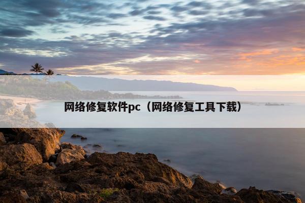 网络修复软件pc（网络修复工具下载）