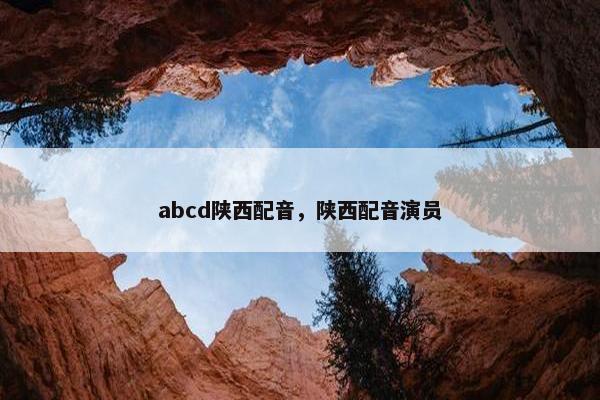 abcd陕西配音，陕西配音演员
