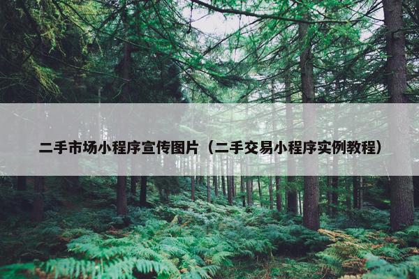 二手市场小程序宣传图片（二手交易小程序实例教程）