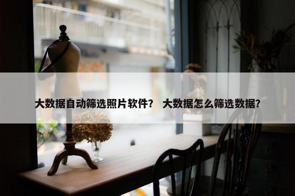 大数据自动筛选照片软件？ 大数据怎么筛选数据？