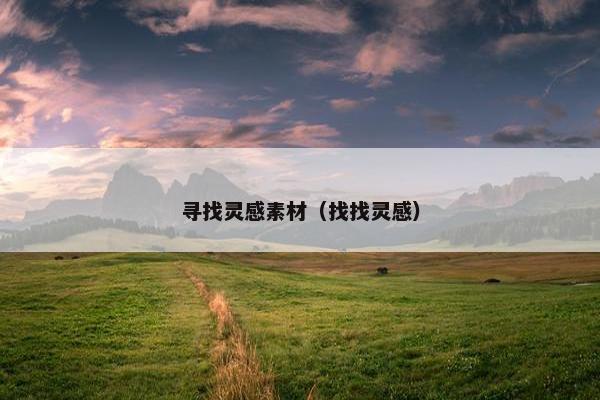寻找灵感素材（找找灵感）