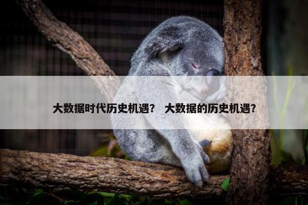 大数据时代历史机遇？ 大数据的历史机遇？