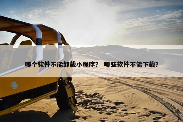 哪个软件不能卸载小程序？ 哪些软件不能下载？