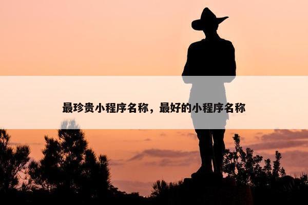 最珍贵小程序名称，最好的小程序名称