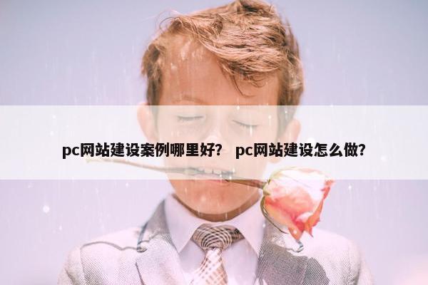 pc网站建设案例哪里好？ pc网站建设怎么做？