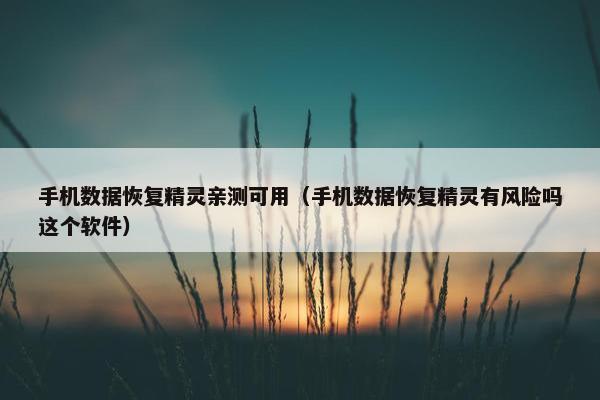 手机数据恢复精灵亲测可用（手机数据恢复精灵有风险吗这个软件）