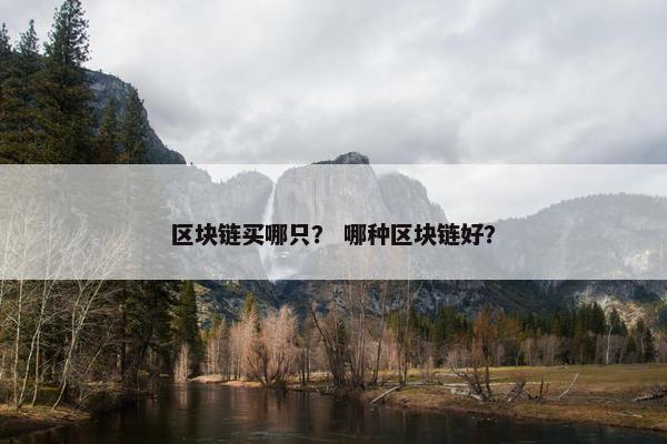区块链买哪只？ 哪种区块链好？