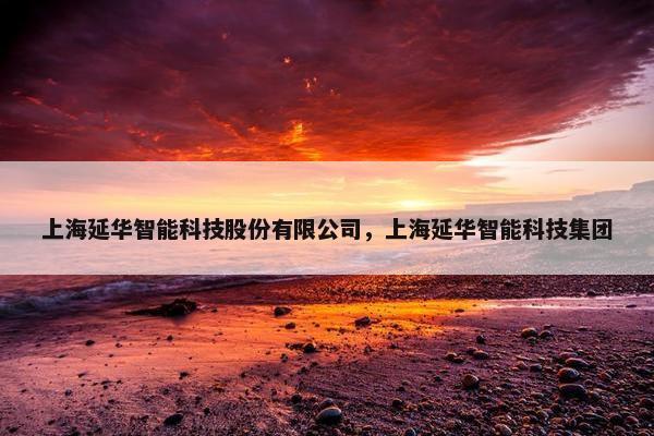 上海延华智能科技股份有限公司，上海延华智能科技集团